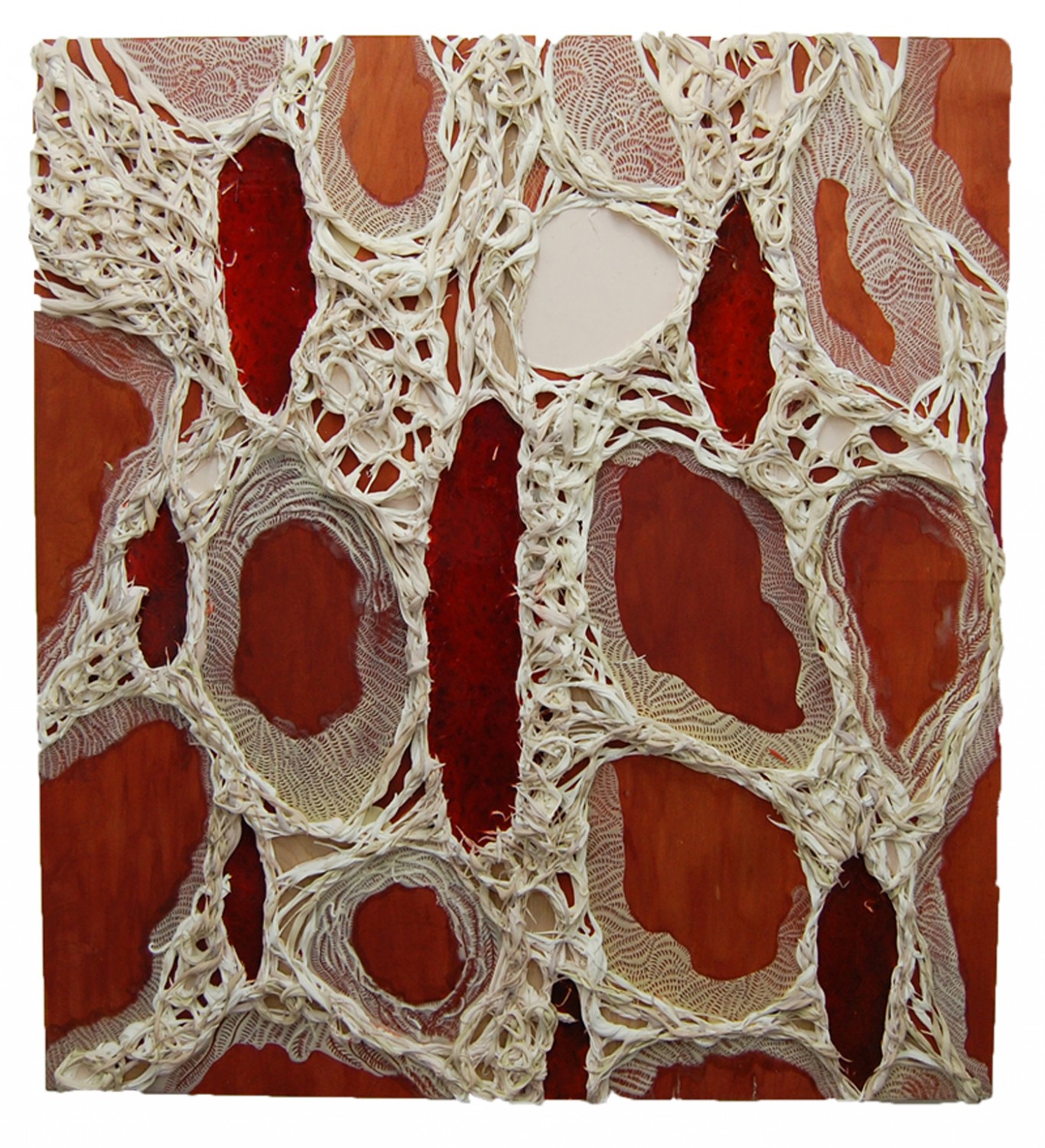Cells and Sinew, 2013, Encaustic, Ultralight, urethane, dispersions and thread on panel, 66 x 60 inches