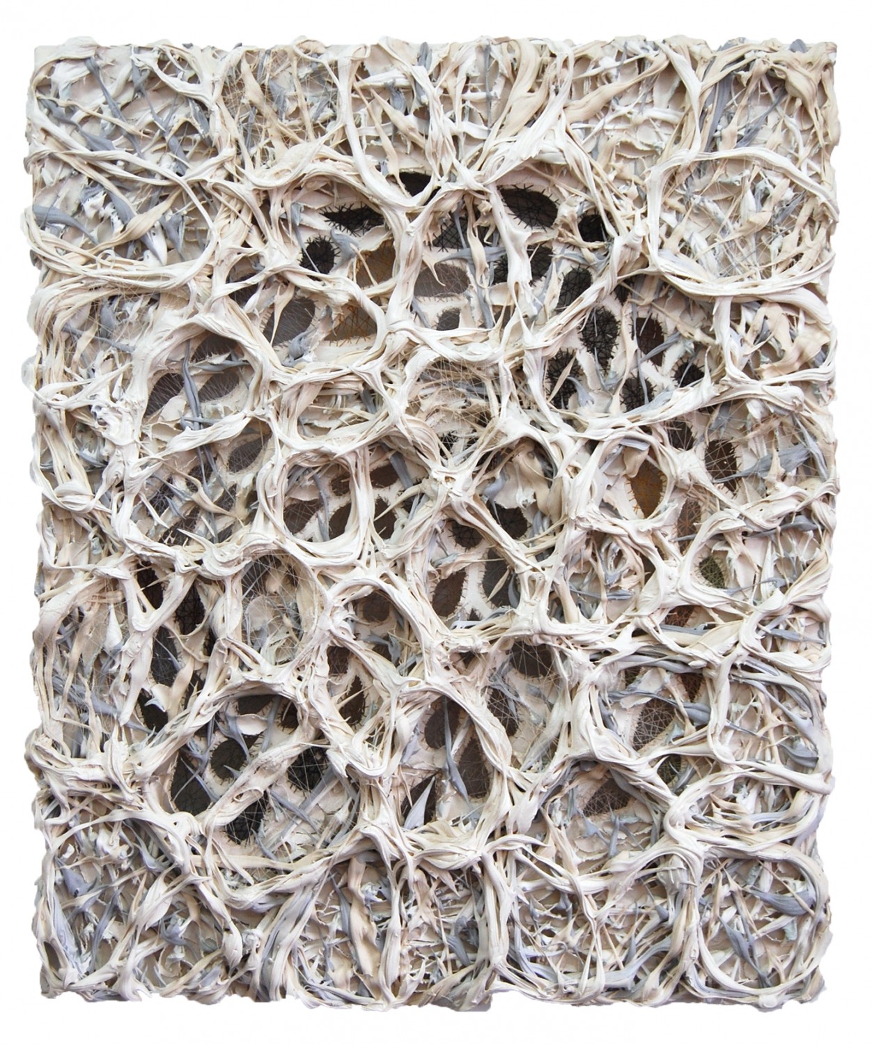 Flesh and Bone, 2010, Ultralight, pigment dispersions, and thread on canvas, 34 x 28 inches, private collection