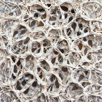 Flesh and Bone, 2010, Ultralight, pigment dispersions, and thread on canvas, 34 x 28 inches