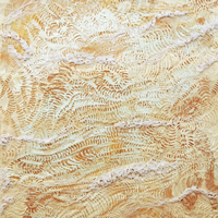 Fossil Plains, 2011, encaustic on panel, 22 x 24 inches