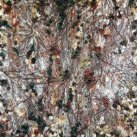 Synaptic Bloom, 2011, encaustic on panel, 60 x 66 inches