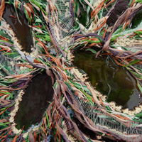 Thicket Tendrils, 2012, Ultralight, glass beads, urethane, pigment dispersions, thread on panel, 16 x 17 inches