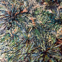 Imprint, 2011, encaustic on panel, 29 x 24 inches